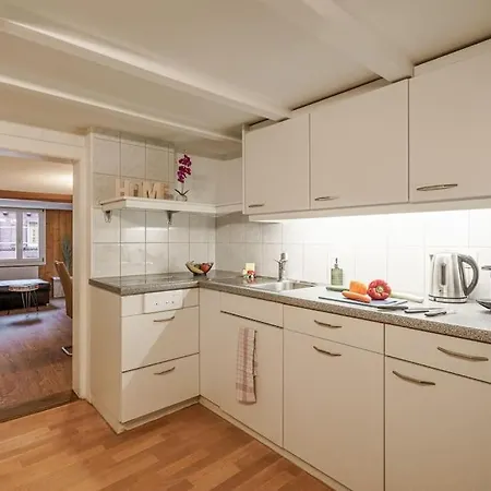 Staybrienz - House Brienz (Bern)