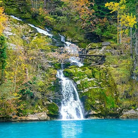 公寓 Staybrienz - House 布里恩茨